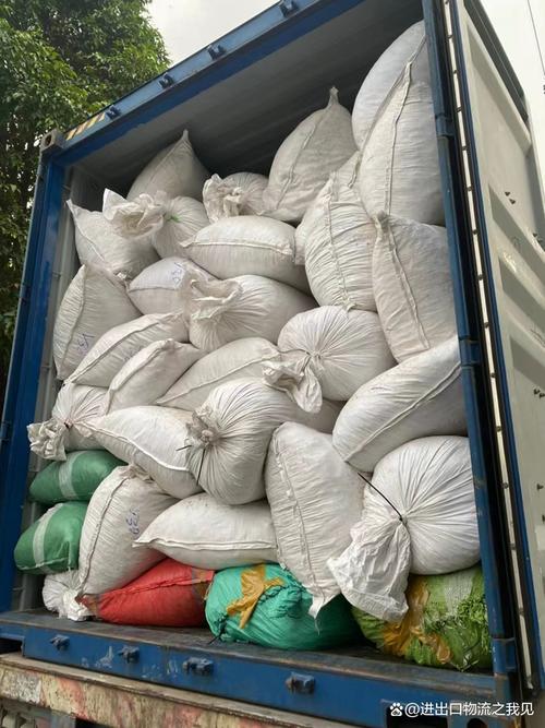 越南貨物進出口運輸服務 需求與運力供給的戰略\u5bf9\u63a5